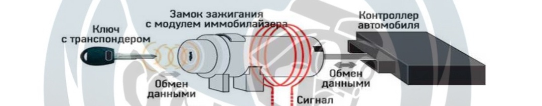 9478f843-3969-4189-bfb3-ba333195ae52-иммо схема 1.jpg